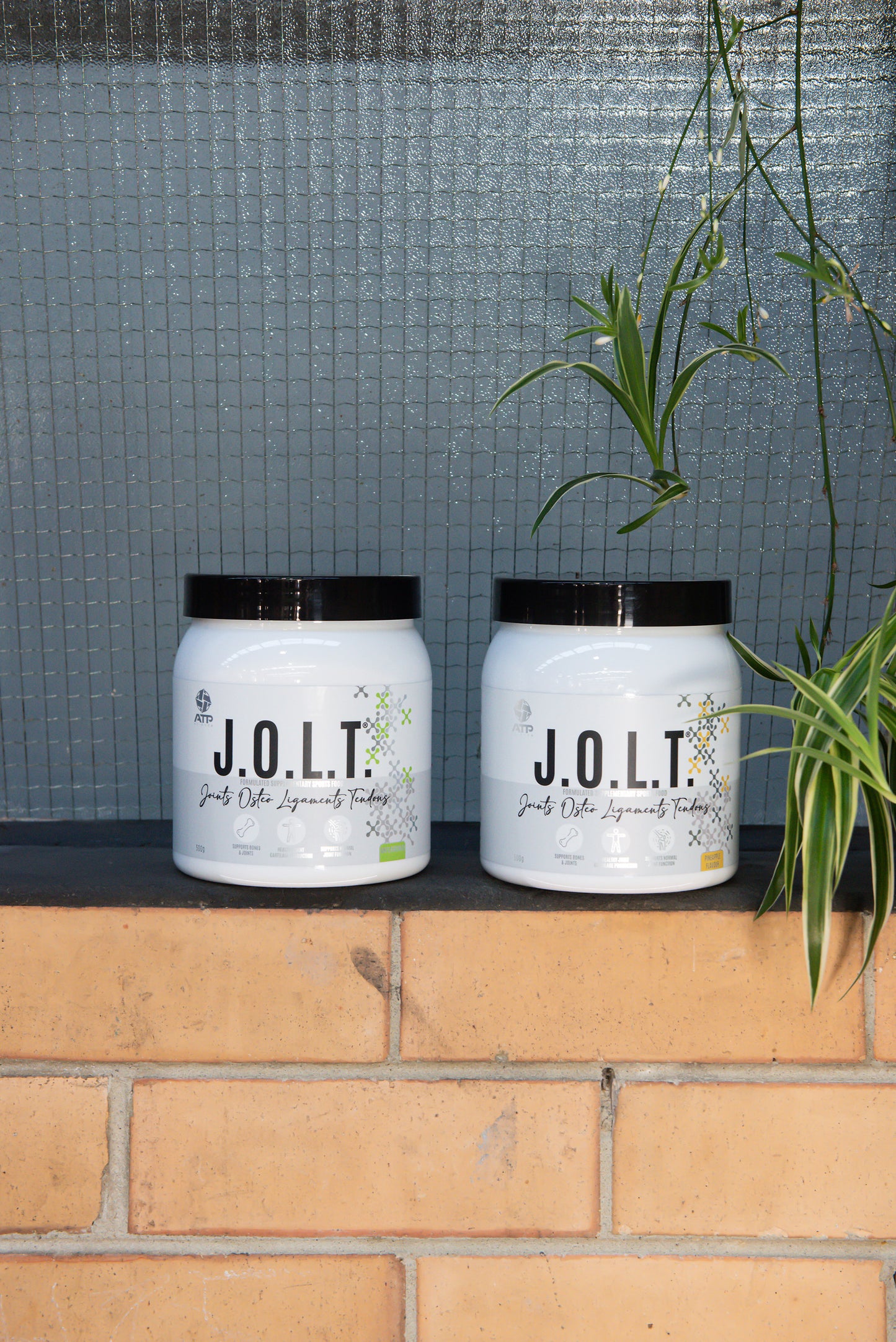 ATP Science - JOLT